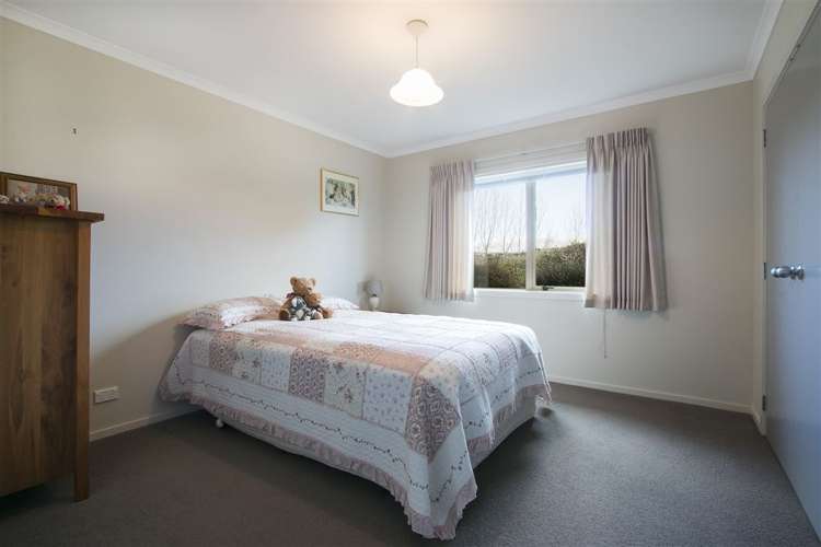 199e Youngson Road Whakamarama_7
