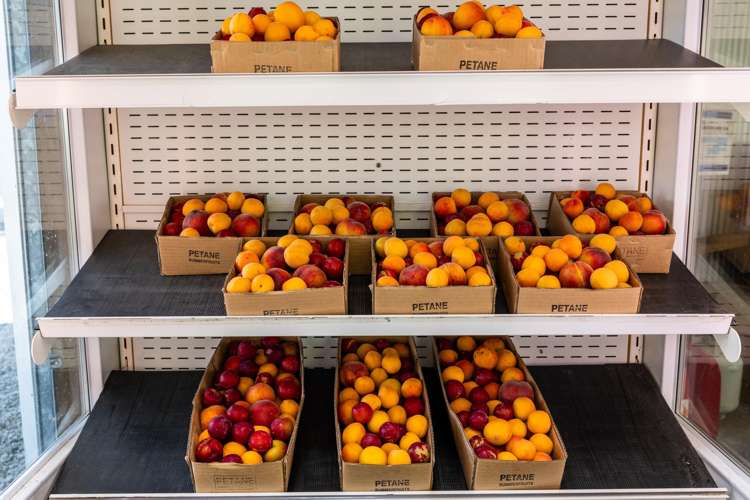 209 Onehunga Road Bay View_26