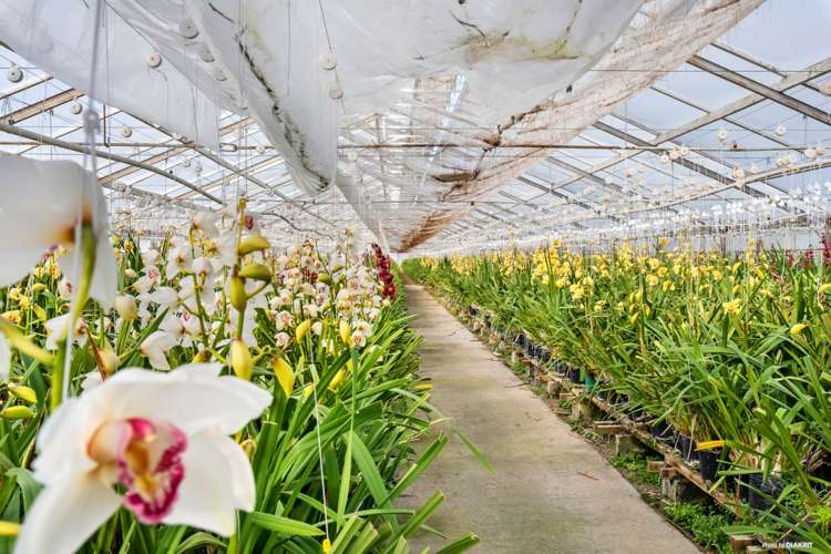 80 Orere-Matingarahi Road Orere Point_12