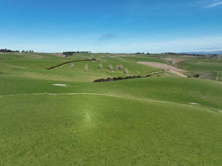 1628 Tuapeka West Road and 275 Bush Road Tuapeka West_8