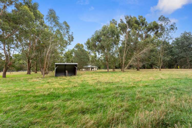 81 Terrace Road Cust_25