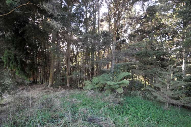 641 Valley Road Kaiwaka_10