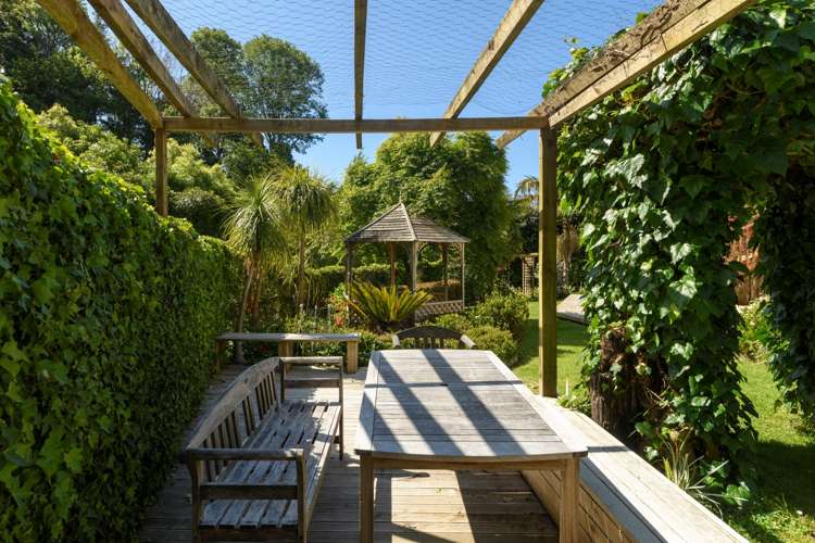 162 Carlton Street Bellevue_10