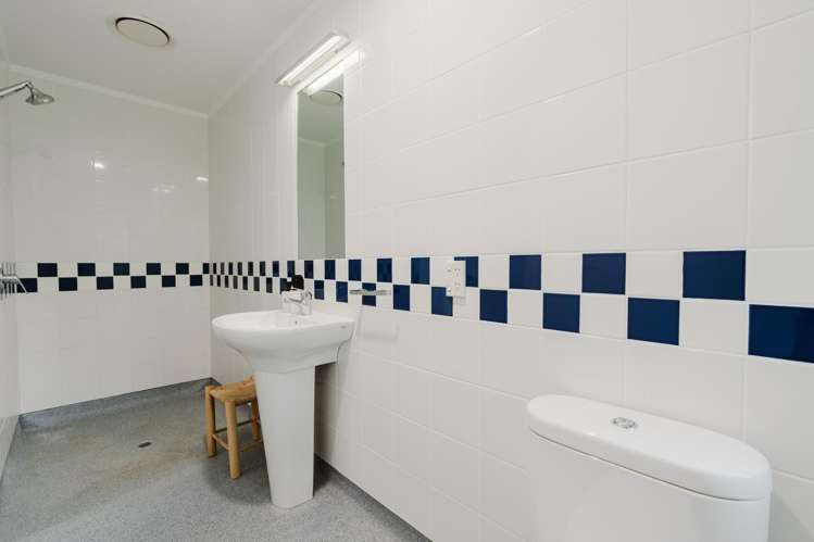 65A Platt Road Pukemoremore_13