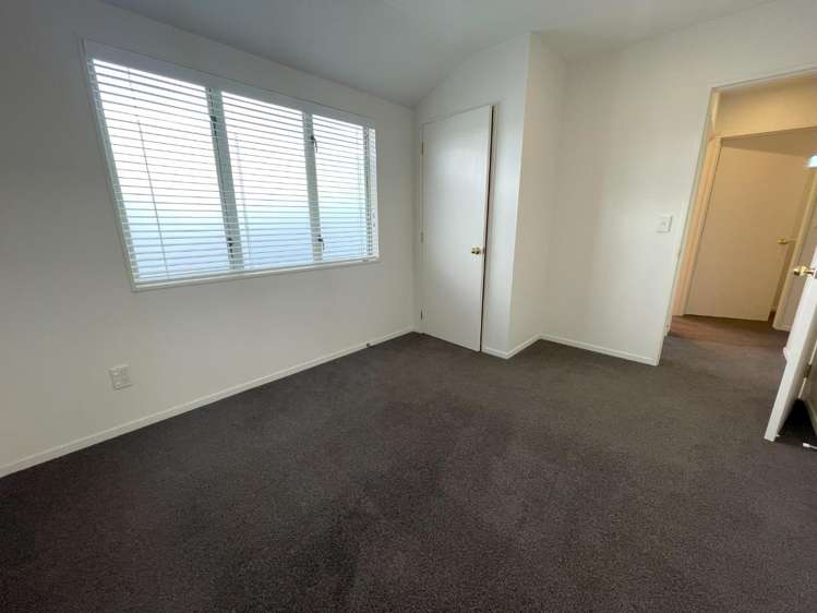 183b Massey Street Frankton_17