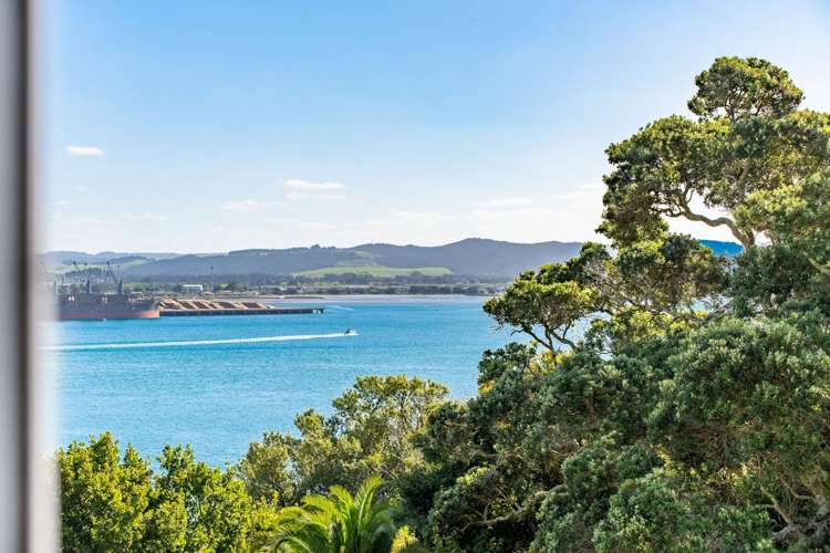 4C The Heights Whangarei Heads_10