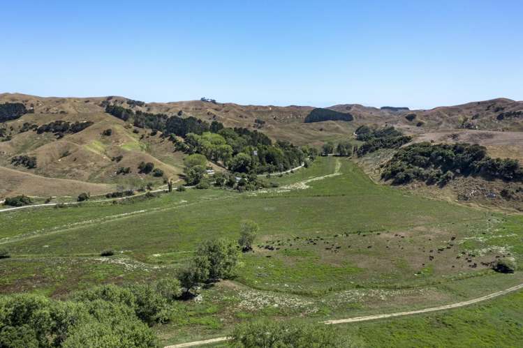 475 Te Akau South Road Te Akau_15