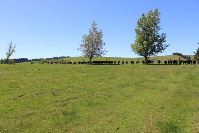 102 Talbot Road Te Anau_3