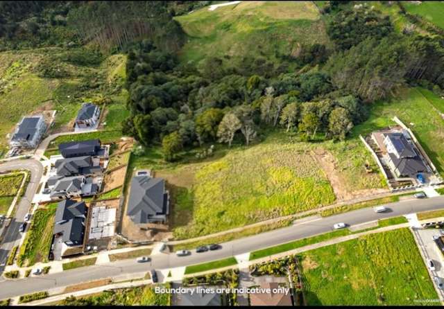 23 Michael Bosher Way Flat Bush_1