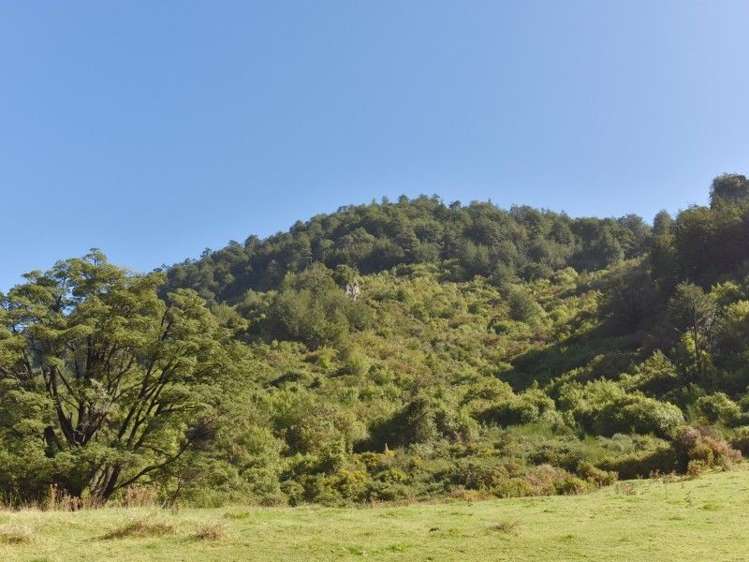 446 Glentui Bush Road Glentui_19