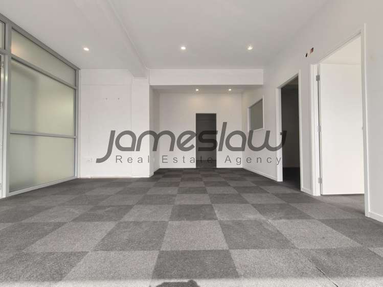 Right Front/111 Newton Road Eden Terrace_6