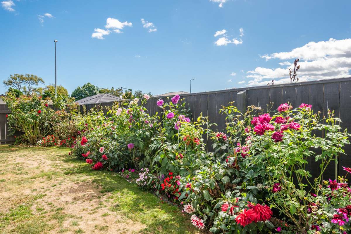 24 Barry Curtis Place_3