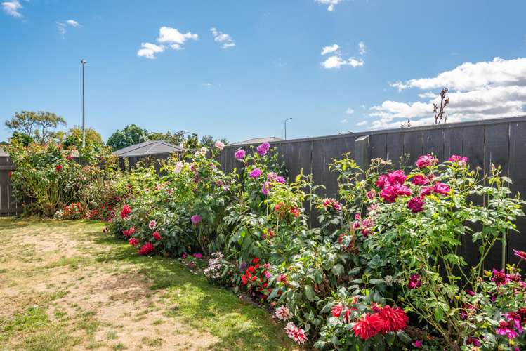 24 Barry Curtis Place Levin_7