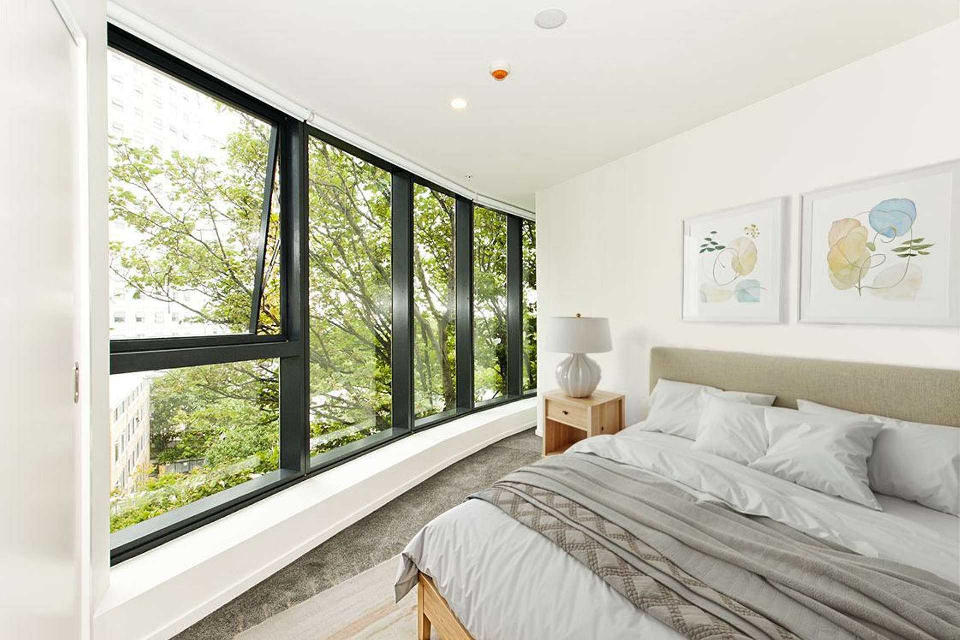 101/18 St Martins Lane Grafton_0