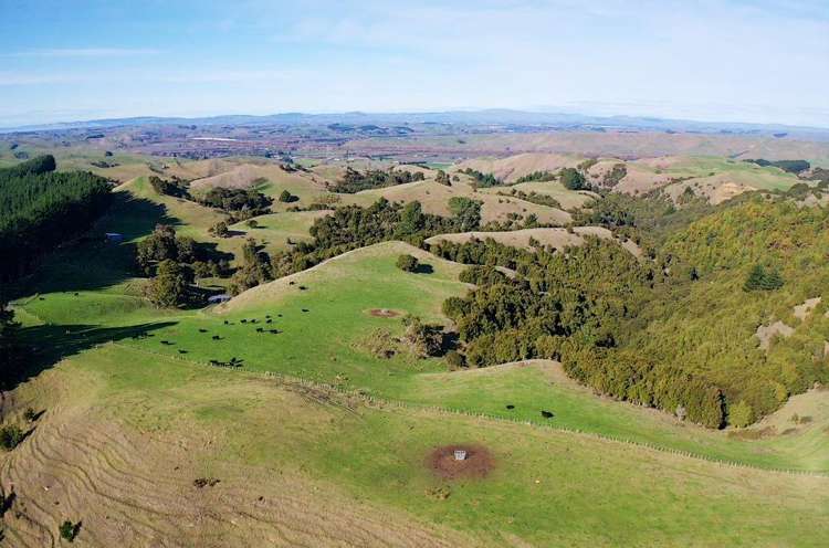 471 Apley Road Puketapu_8