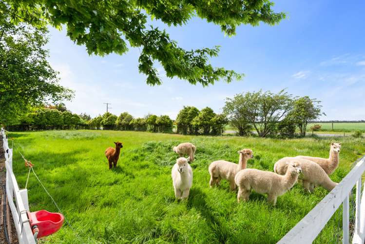 3 Albert James Place Dunsandel_16