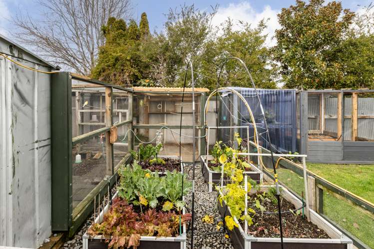 24 Clark Avenue Pirimai_14