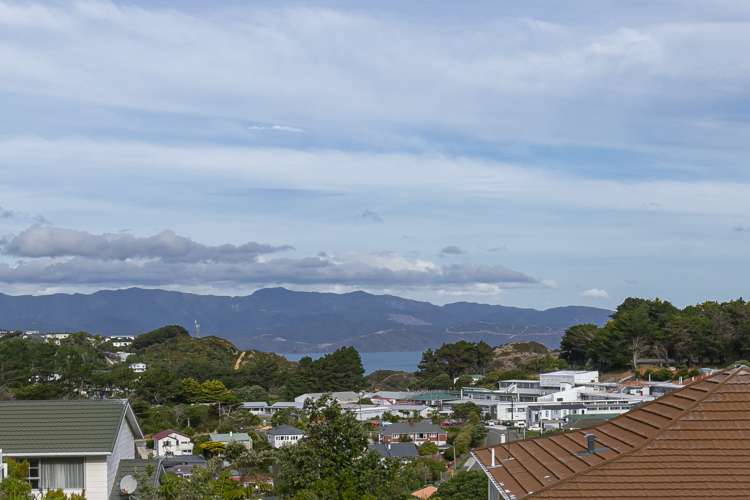 19 Mclintock Street Johnsonville_13