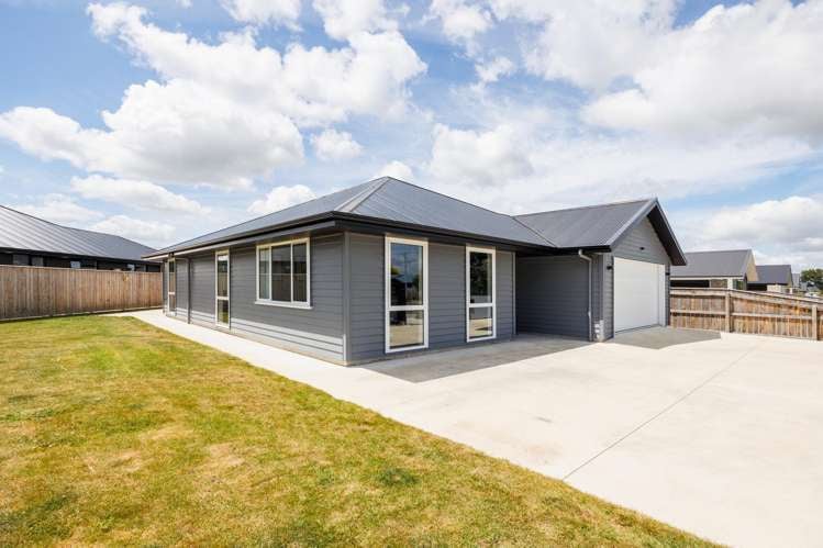 64 Pharazyn Street Feilding_28