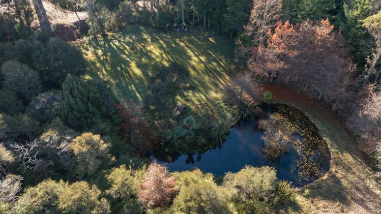 168 Graham Valley Road Motueka_22