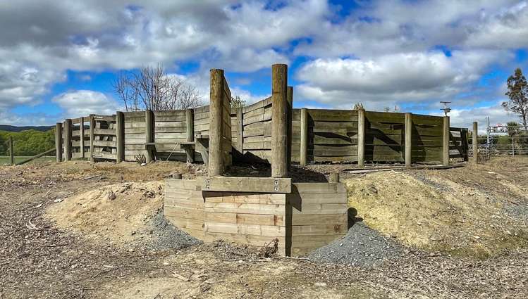 650 Koi Flat Road Gore Surrounds_14