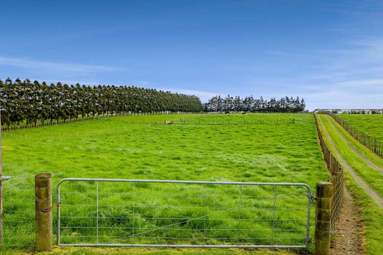 302 Otaraoa Road Waitara_19