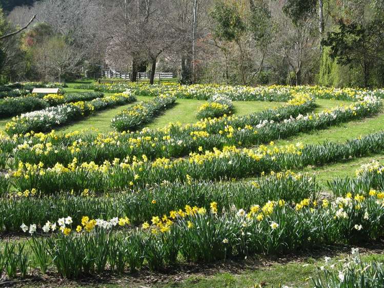 26 Greenhill Road Ngatimoti_44