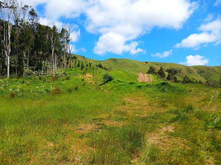 Lot 0 Te Rore Road Kaitaia_28