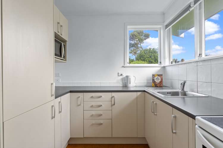 15a View Road Mount Eden_7