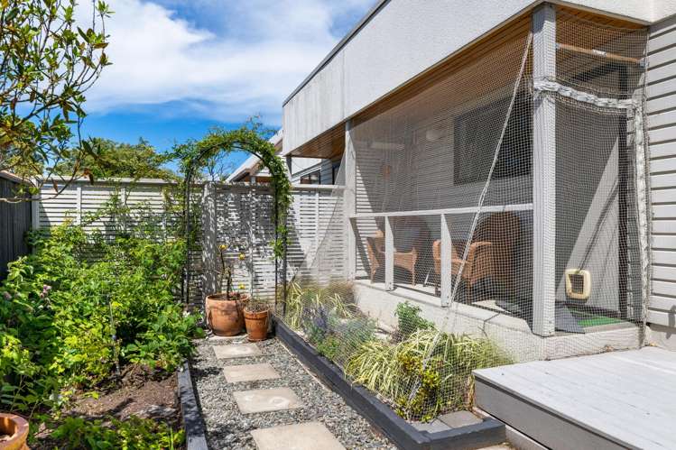 223a Redwood Street Witherlea_23