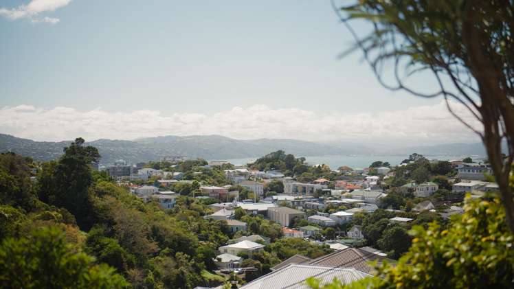 51 Reuben Avenue Brooklyn_9