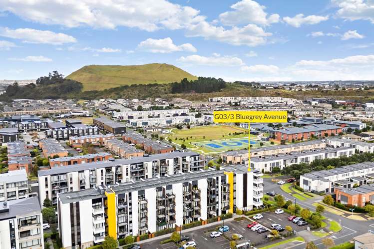G03/3 Bluegrey Avenue Stonefields_13