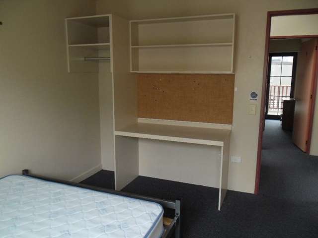 818 Great King Street North Dunedin_4