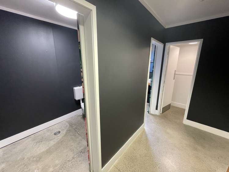 37 Crummer Road Grey Lynn_8