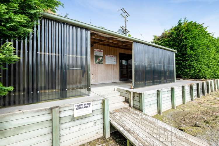 24 Te Arei Road West Sentry Hill_23