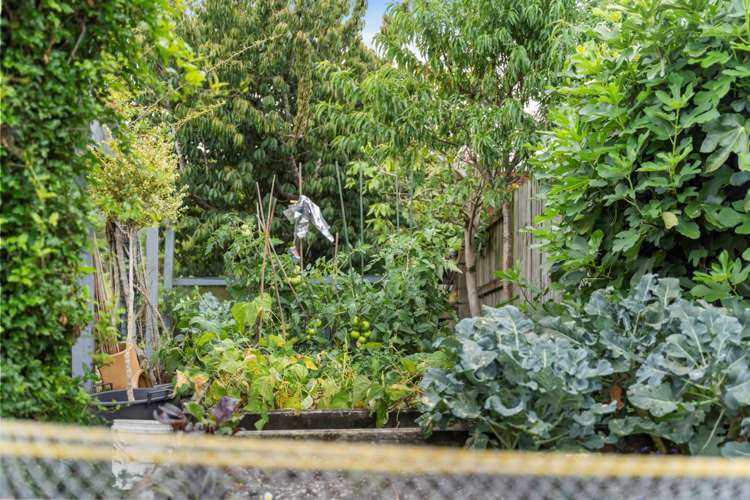 27 Canmore Street Pokeno_18