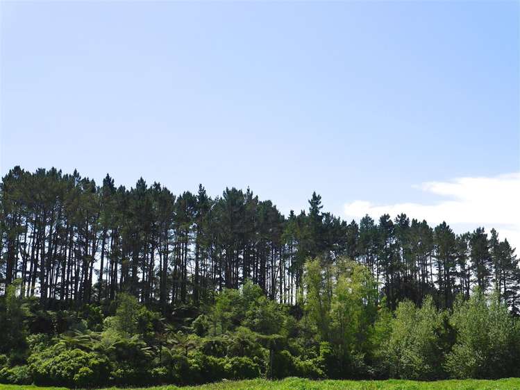 152 Cross Road Lepperton_6