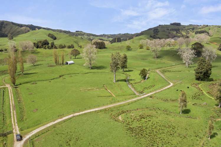 1741 Tikitiki Road Te Kuiti_17