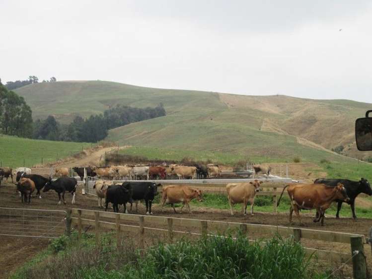 187 Baker Road Karapiro_9