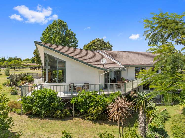 16 Limelight Lane Kerikeri_0