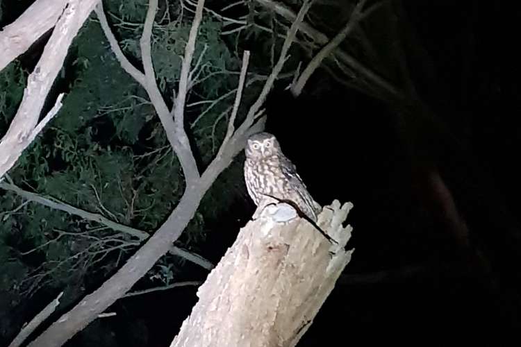 62 Shakespeare Road Bastia Hill_28