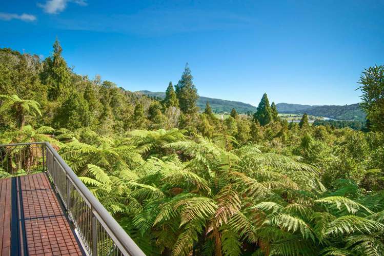 32 Mokihinui Preserve Seddonville_17