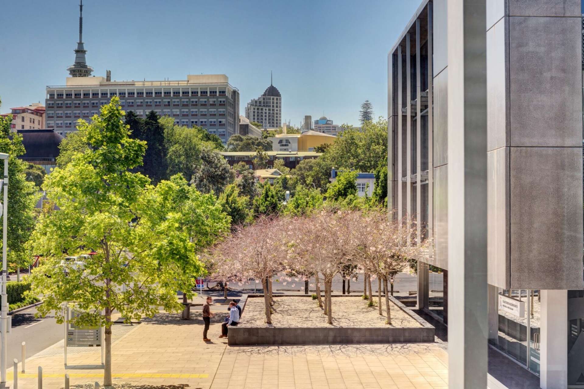 Nicholls Lane Parnell_0