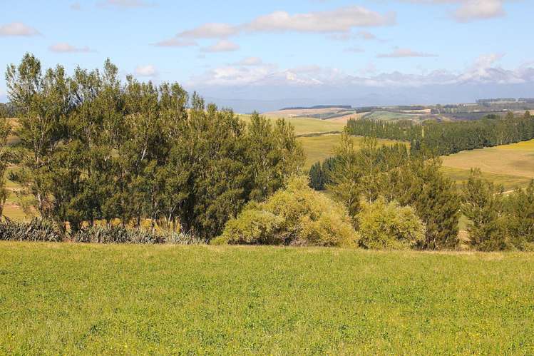 138 Ridgedale Road Te Anau_14