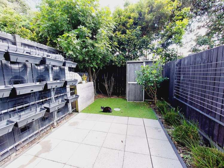22 Wharara Lane 11410_9