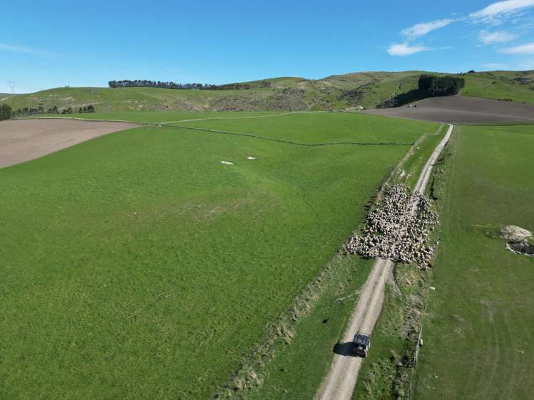 90 Dalmuir Road Ettrick_6