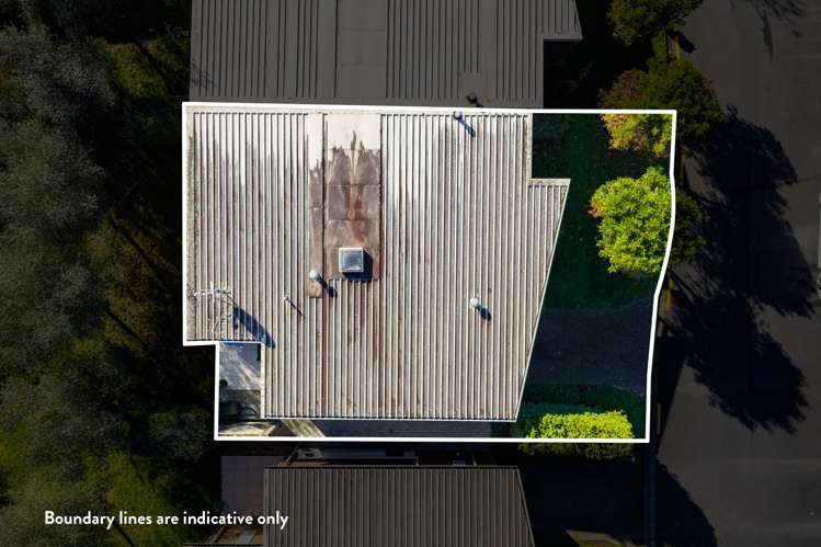 44/46 Peachgrove Road Hamilton East_10