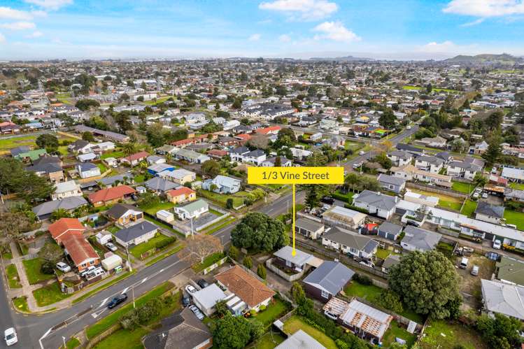 1/3 Vine Street Mangere East_16
