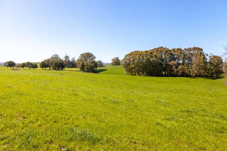 249 Hutchinson Road Richmond Downs_7