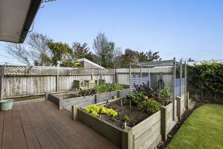 69 Murray Avenue Hawera_27